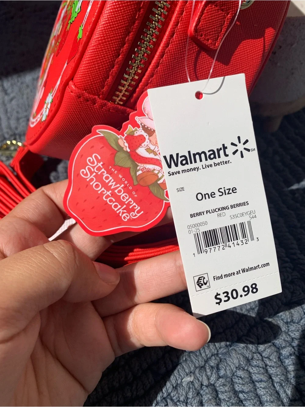 Strawberry Shortcake small bag